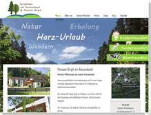 Tablet Screenshot of fewo-harz-reisen.de